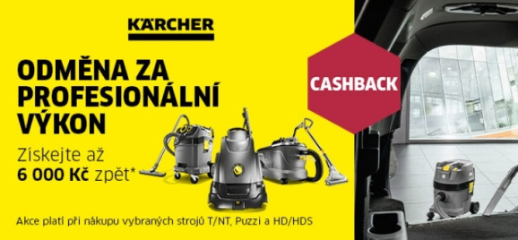 Odměna za profesionální výkon